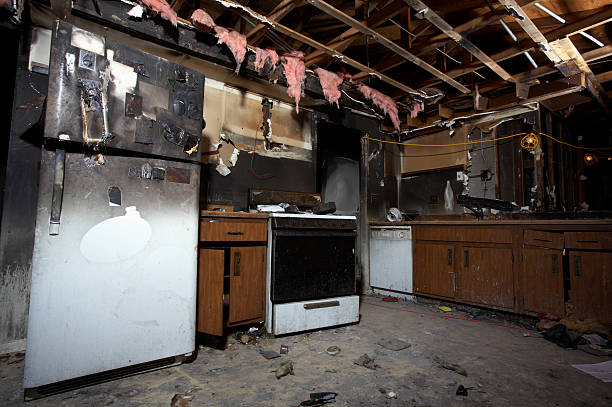 Affordable Fire Damage Removal solutions in Derwood, MD